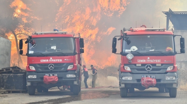 Bornova'da orman yangınını söndürme çalışmaları devam ediyor