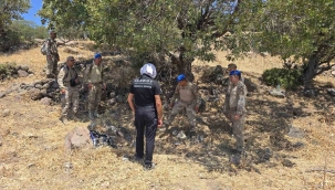 Dikili'de kayıp yaşlı adamdan 4 gündür haber yok