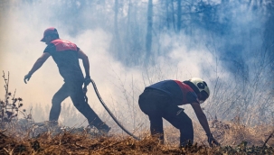 İzmir'in iki ilçesindeki yangınlar büyük ölçüde kontrol altında