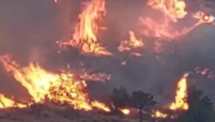 İzmir Yangında En Fazla Zarar Gören İl Oldu