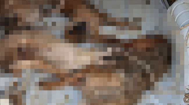 Nakil aracı değil, ölüm kafesi