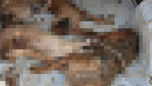 Nakil aracı değil, ölüm kafesi