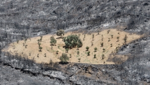 Sürülen alan alevlere geçit vermedi