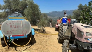 Torbalı'daki yangın tamamen söndürüldü