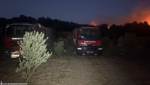 Urla'da yangın kontrol altına alındı