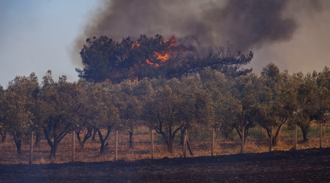 Yanan alanların büyüklüğü Buca'nın yüzölçümünün iki katı