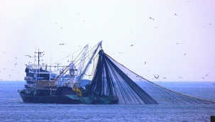 Aliağa'da Balıkçılar Yeni Sezona Hazır