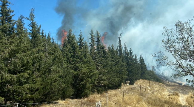 Aliağa'da ormanlık alanda çıkan yangın hızlı müdahale ile söndürüldü
