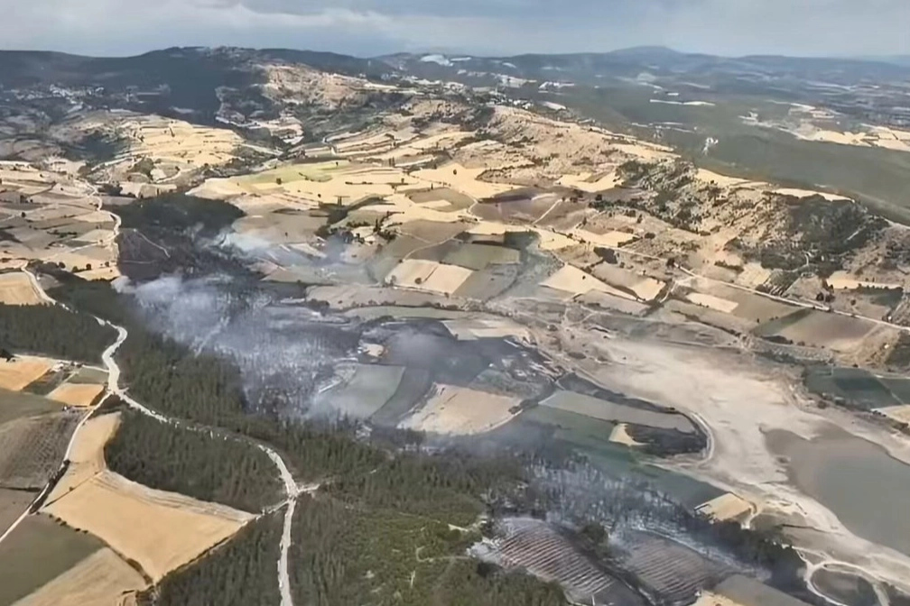 Bursa Yenişehir'deki orman yangını kontrol altında