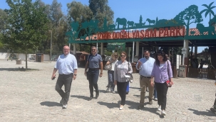 Büyükşehir, tasarrufta hedefi aştı