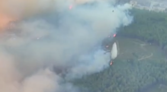 İzmir Buca'da orman yangını