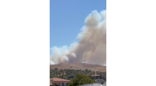 İzmir'de ormanlık alanda yangın çıktı, havadan ve karadan müdahale başladı