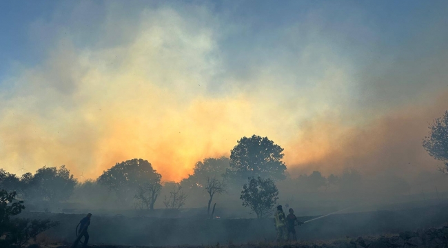 İzmir İtfaiyesi Çandarlı'daki yangına müdahale ediyor