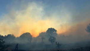 İzmir İtfaiyesi Çandarlı'daki yangına müdahale ediyor