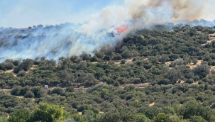 İzmir İtfaiyesi kentsel ve kırsal yangınlarla mücadele ediyor