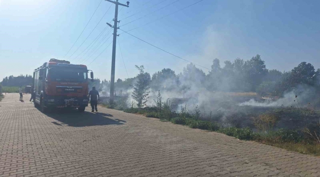 Selçuk'ta sazlık alanda yangın paniği