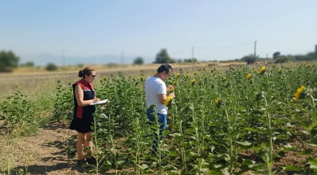 Aliağa'da TAKE Projesi Kapsamında Arazi Kontrolleri Gerçekleştirildi