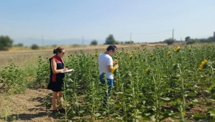 Aliağa'da TAKE Projesi Kapsamında Arazi Kontrolleri Gerçekleştirildi