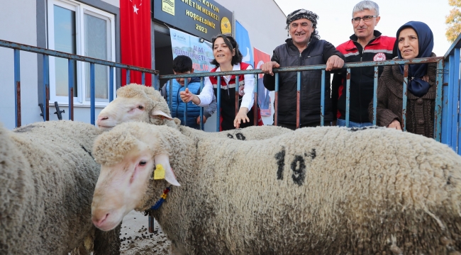 Aliağa Belediyesi'nden Üreticiye Yeni Destek: Damızlık Koyun Dağıtımında İkinci Etap Başlıyor