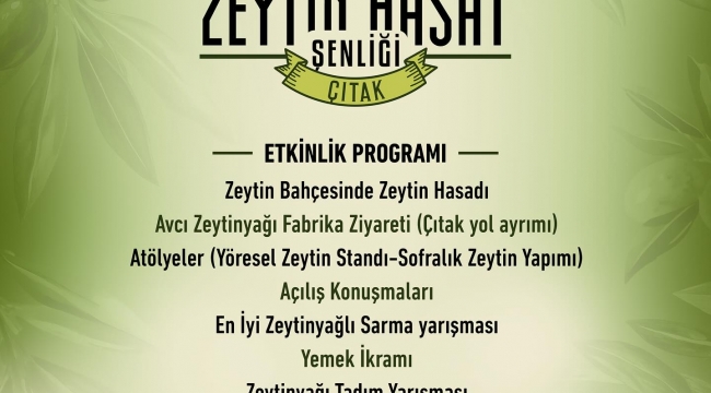 Aliağa'da 4. Geleneksel Zeytin Hasat Şenliği Düzenlenecek