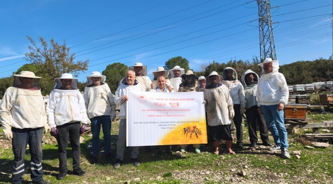 Aliağa'da Bal Üreticilerine Organik Asit Kullanımı Eğitimi