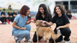 Sahipsiz hayvanlara kötü muamele son bulsun