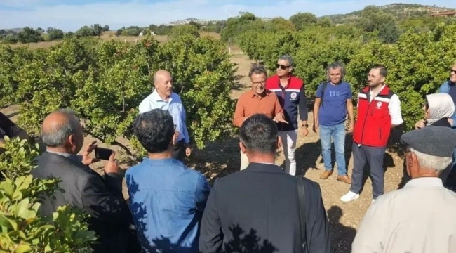 Sakız Ağacı için Aydınlı üreticilerden Çeşme'ye ziyaret