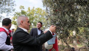 Zeytinin Yolculuğu Aliağa'da Şenlikle Kutlandı