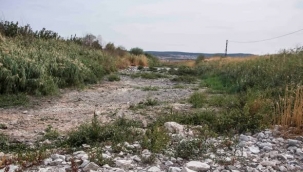 Bakırçay Havzası İçin Kuraklık Uyarısı: Dere Yataklarına Su Bırakılmayacak