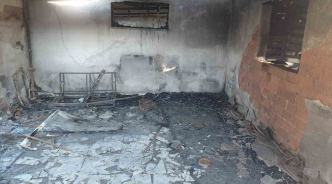 Evde çıkan yangında hayatını kaybetti, 20'den fazla kedi de telef oldu