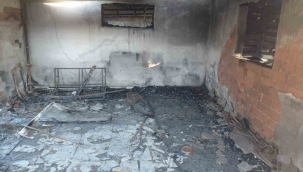 Evde çıkan yangında hayatını kaybetti, 20'den fazla kedi de telef oldu