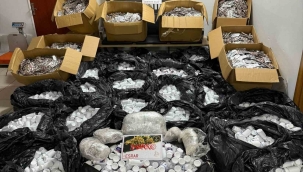 İzmir'de 974 adet uyuşturucu hap ele geçirildi