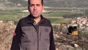 Aliağa ve Foça'daki yanan orman alanları yeniden yeşile kavuşuyor