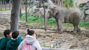 Çocuklara hayvan sevgisi kazandırılıyor