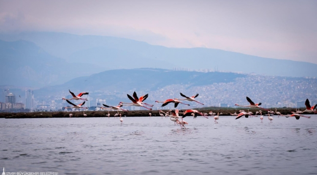 Doğa, kültür ve lezzet tutkunları yarıyıl tatilinde bu turlarda buluşacak