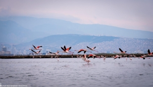 Doğa, kültür ve lezzet tutkunları yarıyıl tatilinde bu turlarda buluşacak
