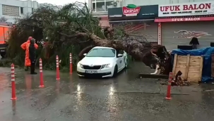 izmir'de sağanak ve fırtına hayatı felç etti