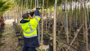 İzmir'in renkleri Büyükşehir fidanlıklarında filizleniyor