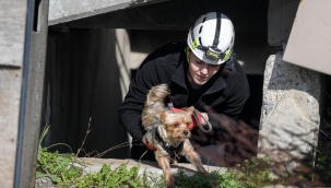 Afetlerde mahsur kalan hayvanlar unutulmayacak