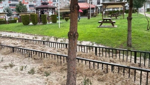 Aliağa'da sağanakla birlikte dere taştı, bir mahalle sular altında kaldı