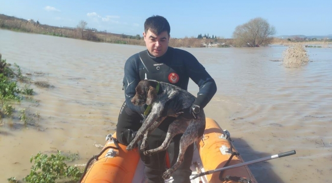 Canlar için Büyükşehir ekiplerinin özverili çabası
