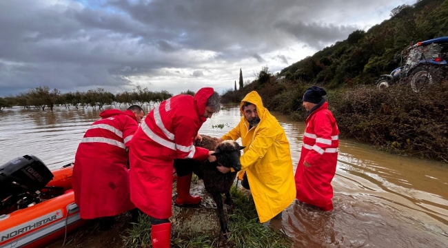 İzmir Büyükşehir Belediyesi'nin yağış seferberliği sürüyor