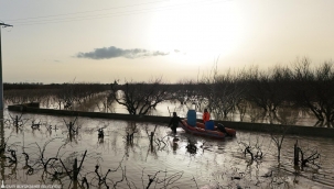 İzmir İtfaiyesi sessiz canlar için zamanla yarıştı