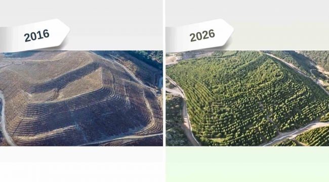 Maden sahaları rehabilitasyonla yeniden yeşeriyor