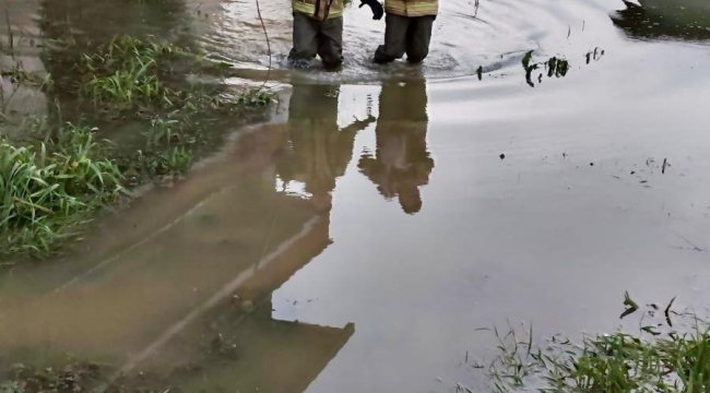 Umuda uzanan eller: Mahsur kalan köpeği itfaiye kurtardı