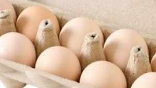 Yumurta Hem Sağlıklı Hem Sürdürülebilir