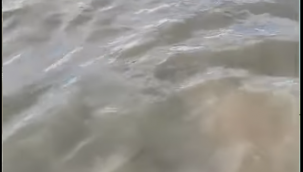  Aliağa'da Arıtma Tesisi Gerginliği Sürüyor: Denizdeki Kirlilik Tepki Çekti