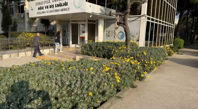 Dokuz Eylül Üniversitesi Diş Sağlığı Merkezi yeşil kartlı hasta kabulüne başladı