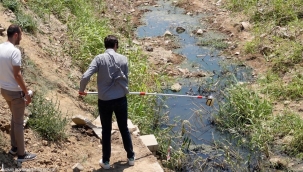 Gediz Nehri mercek altında