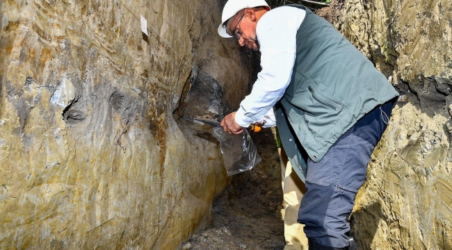 İzmir afete karşı seferberlikte